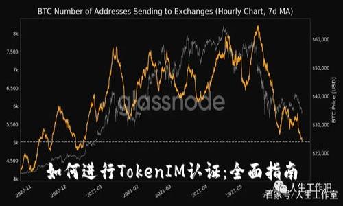 如何进行TokenIM认证：全面指南