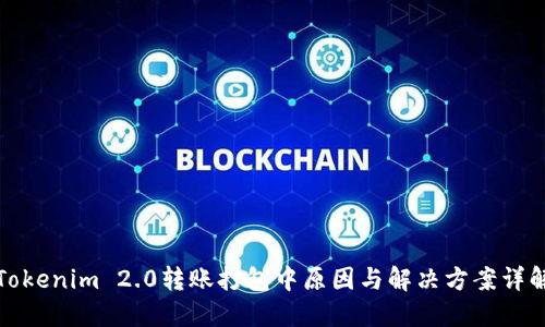 Tokenim 2.0转账打包中原因与解决方案详解