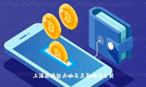 上海区块链大咖及其影响力分析