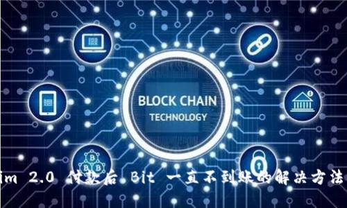 Tokenim 2.0 付款后 Bit 一直不到账的解决方法与技巧