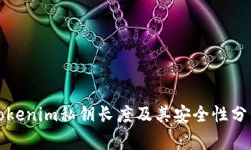 Tokenim私钥长度及其安全性分析
