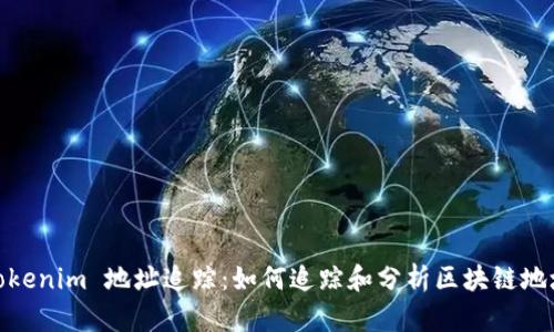 Tokenim 地址追踪：如何追踪和分析区块链地址