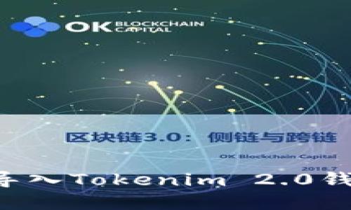 如何将资金导入Tokenim 2.0钱包：详细指南