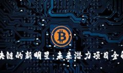 区块链的新明星：未来潜力项目全解析