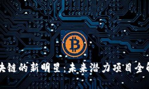 区块链的新明星：未来潜力项目全解析