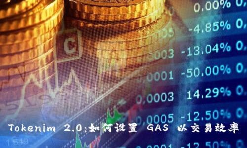 Tokenim 2.0：如何设置 GAS 以交易效率