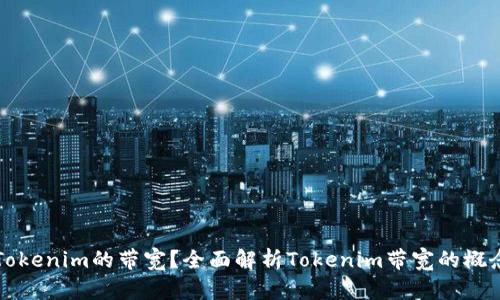 什么是Tokenim的带宽？全面解析Tokenim带宽的概念与应用