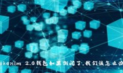 Tokenim 2.0钱包如果倒闭了，我们该怎么办？