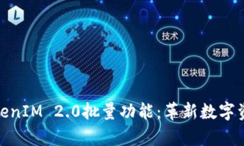 全面解析TokenIM 2.0批量功能：革新数字资产管理体验