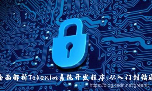 全面解析Tokenim系统开发程序：从入门到精通