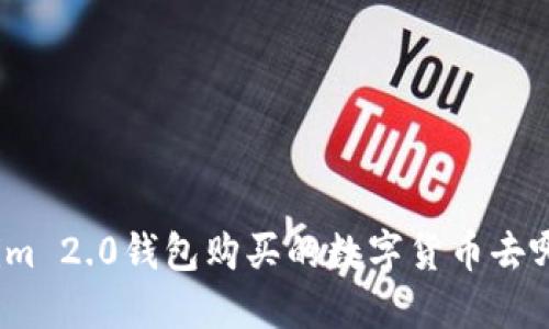 Tokenim 2.0钱包购买的数字货币去哪里了？