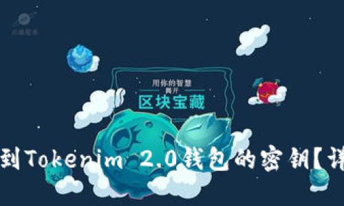 如何找到Tokenim 2.0钱包的密钥？详细指南