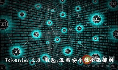 Tokenim 2.0 钱包：洗钱安全性全面解析