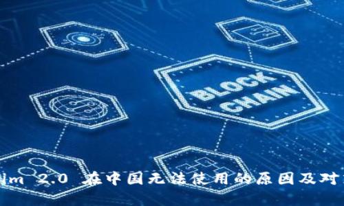 Tokenim 2.0 在中国无法使用的原因及对策分析