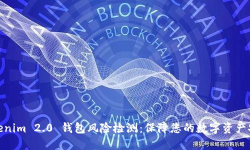 Tokenim 2.0 钱包风险检测：保障您的数字资产安全