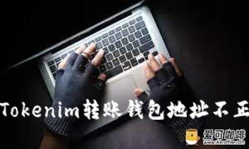 如何解决Tokenim转账钱包地址不正确的问题