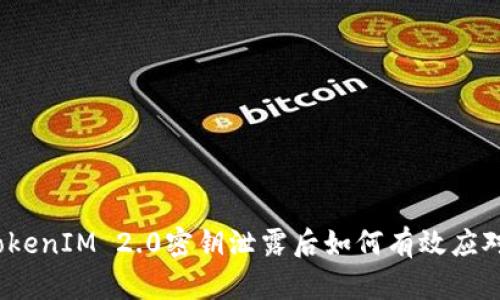 TokenIM 2.0密钥泄露后如何有效应对？