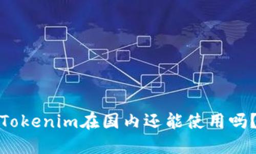 Tokenim在国内还能使用吗？