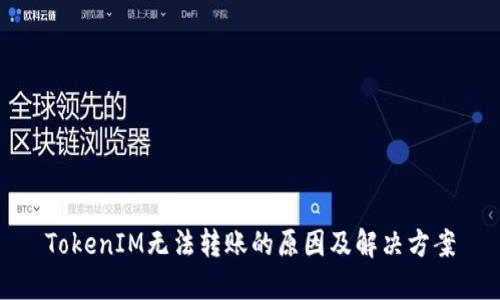TokenIM无法转账的原因及解决方案