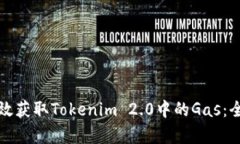 如何有效获取Tokenim 2.0中的Gas：全面指南