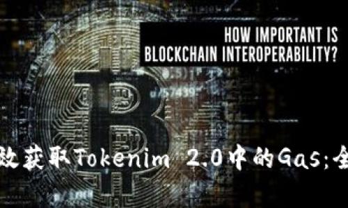 如何有效获取Tokenim 2.0中的Gas：全面指南