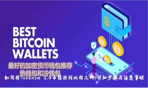 如何将Tokenim 2.0币转移到比特儿网：详细步骤与注意事项
