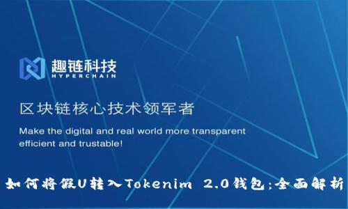 如何将假U转入Tokenim 2.0钱包：全面解析