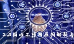 Tokenim 2.0国内不可用原因解析与解决方案