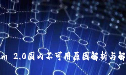 Tokenim 2.0国内不可用原因解析与解决方案