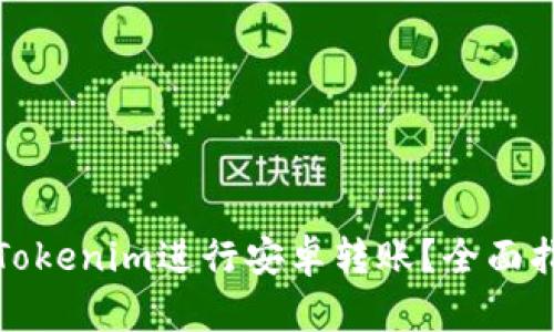 如何使用Tokenim进行安卓转账？全面指南与技巧