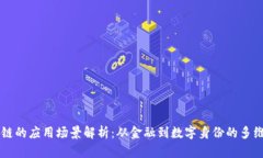 区块链的应用场景解析：从金融到数字身份的多