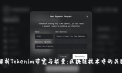 深入解析Tokenim带宽与能量：区块链技术中的关键