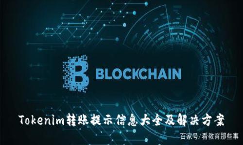 Tokenim转账提示信息大全及解决方案