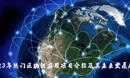 2023年热门区块链应用项目介绍及其未来发展趋势
