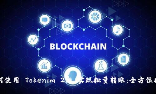 如何使用 Tokenim 2.0 实现批量转账：全方位指南