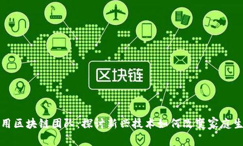 家用区块链团队：探讨新兴技术如何改变家庭生活
