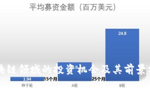 区块链领域的投资机会及其前景分析