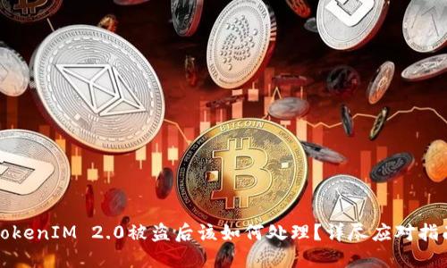 TokenIM 2.0被盗后该如何处理？详尽应对指南