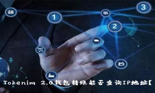 Tokenim 2.0钱包转账能否查询IP地址？