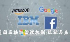 揭秘美国区块链治理机制：现状与未来展望
