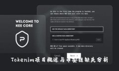 Tokenim项目概述与币安链缺失分析