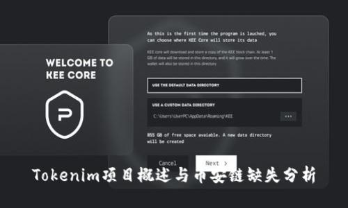 Tokenim项目概述与币安链缺失分析