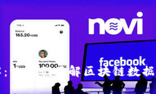 区块链的传输方式详解：让我们了解区块链数据传输的多样性与安全性