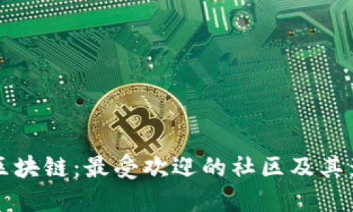 探索区块链：最受欢迎的社区及其影响力