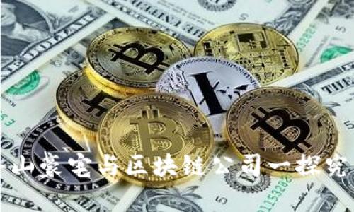 舟山豪宅与区块链公司一探究竟