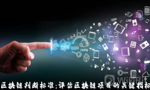 
区块链判断标准：评估区块链项目的关键指标