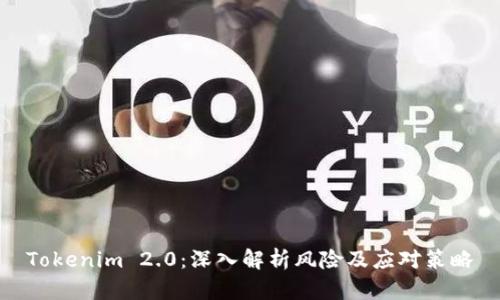 Tokenim 2.0：深入解析风险及应对策略