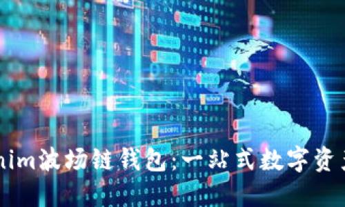 详解Tokenim波场链钱包：一站式数字资产管理平台