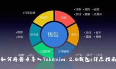 如何将货币导入Tokenim 2.0钱包：详尽指南