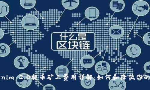 Tokenim 2.0提币矿工费用详解：如何和降低你的费用